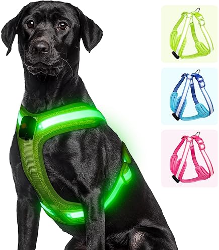 LED Hundegeschirr Aufladbar - Leuchtendes Sicherheitsgeschirr Für Nachtspaziergänge