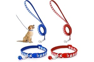 Molain Ensemble Collier et Laisse pour Chiens, Chatons, Chat, Réglable Collier de Voiture Durable et Laisse de Dressage Rapide