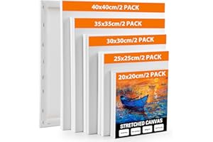 Koncci Toile Peinture - Lot de 10 (40x40 35x35 30x30 25x25 20x20cm) Toile a Peindre Encadrées, Coton, Sans Acide, Tableau Peinture Toiles Canvas Adaptées pour Peintures Acryliques, Huile, Gouache