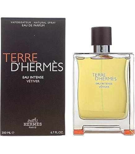 Hermes Terre D'Hermes Edt Spray 100ml : Amazon.de: Kosmetik