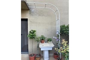 NOWORO Demi-Arche de Jardin Arceau Rosier Grimpant 90x240x40cm 200x267x50cm 350x267x50cm Arche en métal Stable Tonnelle Arcade pour diverses Plantes grimpantes, Jardin extérieur, Noir/Blanc (Color : Blanc,