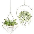 Mkono 2 Pcs Plant Hanger - A Diamond & A Circle Shape, Metal Hanging Planter Modern Home Decor, Fits Large 6 Inch Planter, Gold (Flower Pot NOT Included)