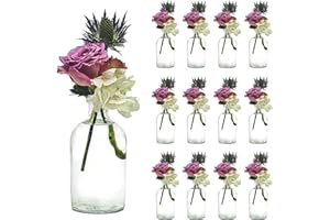 Casavetro - Juego de 6 o 12 jarrones pequeños para decoración de mesas y Bodas (12 Unidades)