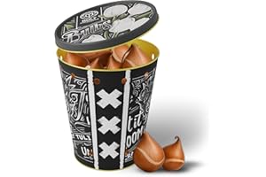 BOLT AMSTERDAM SINCE 1936 15 bulbi di tulipano "WHITE REBEL" in un secchio – Tulipani bianchi – Nuovo raccolto – Bulbi da fiore olandesi di qualità – BOLT Amsterdam (1 pack)