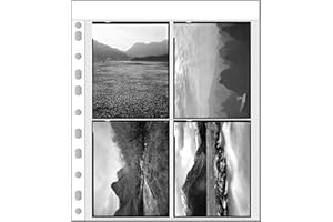 ETONE 30 sacchetti senza acidi, 4 x 5 fogli di immagazzinaggio di pellicole per archiviazione, N&B Negativi, scatola di file, album fotografico (30 x 4 x 5)