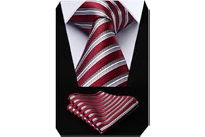 HISDERN Cravate Homme Mariage Cravate à Carreaux/Pied-de-poule et Mouchoir La Cravate des Hommes & Carre de poche Set