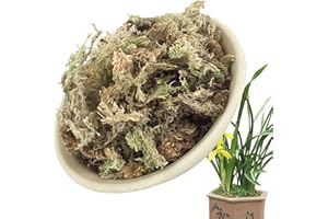 ONLYFLY Lambo Esfagno, Sphagnum Musgo Secado, Musgo Seco para Orquídeas, Musgo Hidratante para Phalaenopsis, Orquídea para Plantas Flores Jardinería Orquídea Phalaenopsis, 6/12L