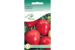 KRAIDO SEEDS Red Beefsteak Tomato Seeds Sweetheart Solanum Lycopersicum 100 Seeds Grow Your Own Vegetable Ideal for Greenhouse or Garden Growing in Raised Bed Polytunnel Growbags or Large Pots or Containers