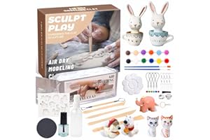 Augesak Kit Arcilla Secado al Aire,Kit Ceramica en Casa,Alfareria para Niños,Manualidades Adultos,Diy Kit Adultos-incluye Blanco Arcilla Secado al Aire,Pintura, Kit de Herramientas