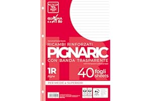 Pigna, 40-otworowe opakowanie segregatora, wzmocniona taśma boczna, arkusze ze wzmocnionymi otworami, arkusze A4, 21 x 29,7, 1R, wytyczone