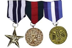Bristol Novelty - Médaille Militaire (Taille Unique) (Multicolore)