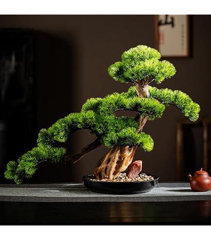 Pflanzen Klle Knstlicher Bonsai-Kiefer, Hhe ca. 140 cm : Amazon.de:  Kche, Haushalt & Wohnen