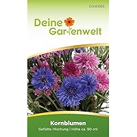 Kornblumen Gefüllte Mischung Samen | Zyane Saatgut | Kornblumensamen | Blumensamen