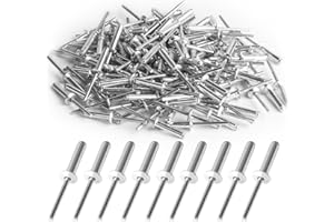 HEXINYIGJLY Lot de 120 rivets aveugles, assortiment de rivets pop 4,8 mm x 20 mm, rivets aveugles en aluminium à grande bride, rivets pop argentés, rivets en aluminium pour métal, bois, rivets en plastique 20 mm