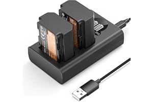 K&F CONCEPT NP-FZ100 mit hoher Kapazität 2600mAh Zwei Akkus und EIN Ladegerät,2er Pack Batterien für Sony Alpha A7III,A7IV,A7R III/A7R3,A7RIV,A7RV,A7C,A7S III/A7S3,A9,A9II,A6600,A9R,A9R,9S,FX3,FX30