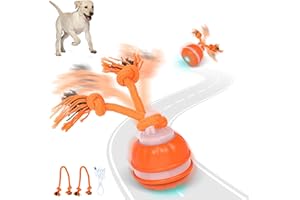 Iokheira Jouet pour Chien Interactif, Balle Interactive Chiens,Jouet pour Chiot Occupation, Balle pour Chien Intelligent Rechargeable Jouets pour Chiot avec Ficelle,Jouet Cadeau de Noël