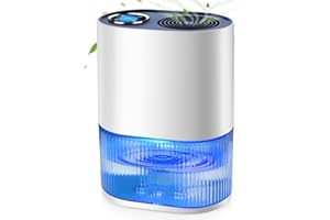 BAPHIYA Dehumidifiers for Home with 2L Tank& H11 Filter, Small Dehumidifier with T&H Display Quiet Electric Mini Dehumidifier with Target Setting/Sleep Mode/Timer/Auto-Defrost, for Bedroom Closet