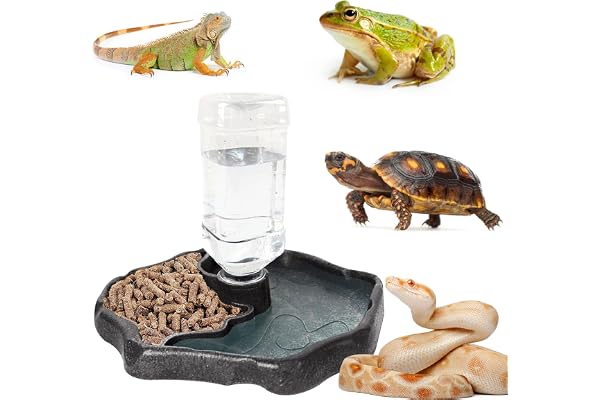 Funmo Distributeur d'eau pour Reptile, Abreuvoir Tortue, Mangeoire Gamelle Tortue Terrestre Distributeur 2 en 1 de Nourriture Anti Debordement Plastique Bol Accessoire - Brun