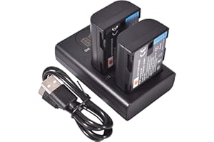 DSTE DE DSTE 2 x DMW-BLF19E Ersatzakku + Dual USB-Ladegerät mit LCD-Display, kompatibel mit DMW-BLF19 und Panasonic Lumix DMC-GH3, DMC-GH3GK,DMC-GH3H,DMC-GH3HGK,DMC-GH3KBODY,DMC-GH4H,DMC-GH4 Kamera