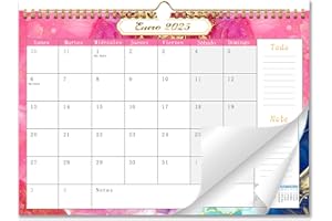 AEYAKA Calendario 2025 Calendarios de Pared, 30 cm x 43 cm Español, Resumen de vacaciones D