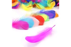 ZIRANEE Plumes Couleur,300 PCS Plume Loisirs Creatifs Naturelles Décorations Plumes pour Bricolage Capteurs de Rêves Chapeaux Costume Fête à la Maison Décorations Mariage 8-12CM