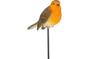 Vivid Arts - Robin Plant Pal - PLP-099