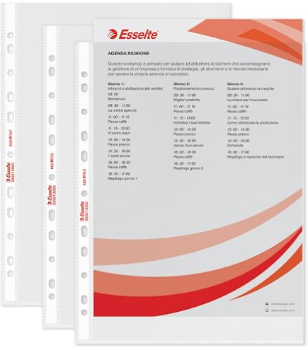 Etichette Per Etichettatrice (22X16 Mm, 2 Linee, 12.000 Pezzi