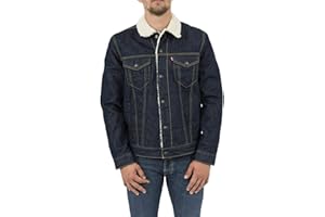 Levi's Type 3 Sherpa Trucker Kurtka Mężczyźni,Rockridge,L