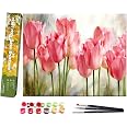 YALKIN Kit Pittura Con I Numeri Per Adulti – Tela 40x50cm Con Colori Acrilici – Fai Da Te Senza Cornice – Decorazione Parete Casa, Regalo Creativo