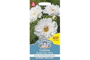 MR FOTHERGILLS Mr Fothergill’s Cosmos Flower Seeds, Double Dutch White