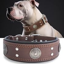 Hundehalsband Aus Echtem Leder - Verstellbar, Weich & Robust, Mit D-Ring, Für Kleine Bis Große Hunde