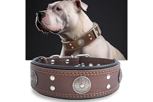 HQSHNY Collare per Cane Taglia Grande, Collare in Pelle Genuina, Robusto e Largo 5 cm, Artigianale, Morbido, Lussuoso e Vistoso, 57-67 cm, marrone