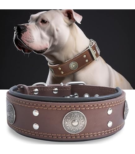 Collare Cane In Pelle Vera Per Taglie Grandi - Largo 5cm, Morbido E Resistente Con Fibbia Metallica - Nero - Foto 9