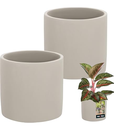Kante Plantenbak, natuurlijk beton, 18,1, 20,5, 22,4 H