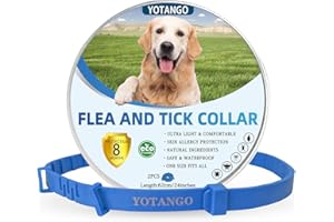 YOTANGO Collare Antiparassitario per Cani, Collare Antipulci Cane, Trattamento Collare Cane Antiparassitario Regolabile 8 Mesi di Protezione Naturale Antipulci per Cuccioli Cani di Grossa Taglia Blu
