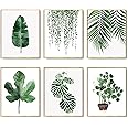 Botanical Plant Wall Art Prints Set,Aesthetic Room Decor Set of 6, 21 x 30cm Unframed Watercolour Green Botanical Poster Leaf Pictures Wall Art,Home Decor Bathroom Kitchen Living Room,Leaf Prints
