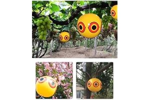 C & L (SW) pack of 3, scary eye blow up repellent for birds, bird scarer, decoy bird scarer, scare deterrent for birds,