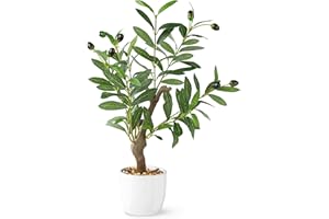 PASCH® Sztuczne drzewo oliwne (42 cm) w białej doniczce ceramicznej: sztuczne rośliny jak prawdziwe | sztuczne rośliny w doniczce | sztuczna roślina oliwkowa | sztuczne kwiaty w doniczce