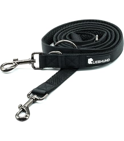 Wolters Professional Hundeführleine – Größe L, 200 Cm X 20 Mm | Aus Robustem Nylon, Aqua | Für Mittlere Bis Große Hunde