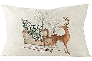 ONESHLEE Funda Cojín Navidad 50x30, Almohada Navideña, Decoración Hogar, Fundas Cojines Sofá Silla, Adornos para Casa Interior Habitación Salón, Regalos Originales (B)