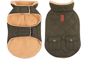 Queenmore Płaszcze dla psów, wodoodporny płaszcz dla psa, zimowy płaszcz dla psa, kurtka z polaru, ubrania dla małych psów, chihuahua, jamnik, buldog francuski, zielony, XS