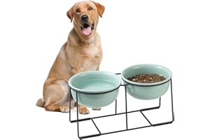 AHX Comedero y Bebedero Elevado para Perro - Cuenco Doble de Cerámica con Soporte Antideslizante - Set de Bol para Comida y Agua - Ideal para Perros Medianos y Grandes - 2 x 1600 ml