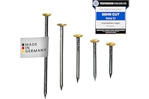 RIKAMA ONLINEVERSAND AUS EINER HAND RIKAMA – Lot de 100 clous en acier avec tête en laiton de 6 mm de diamètre en 20 x 20 mm, 25 mm, 30 mm, 40 mm, 50 mm - Pour une utilisation sur béton, brique, plâtre et bois - Fabriqué en Allemagne