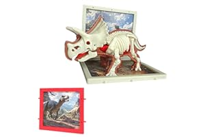 Dino Skelett Bausatz 3D Vision Dinosaur Anatomy Model, Kids STEM Educational Science Toy, Interactive Dinosaur Skeleton Kit (Triceratops)