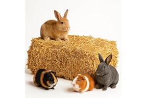 PALATINA WERKSTATT 15 kg de balles de paille de blé de qualité supérieure - Paille sèche et fraîche non pulvérisée - Récolte actuelle naturelle pour lapins, cochons d'Inde, lapins - Décoration de nourriture directement