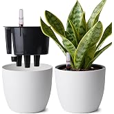 T4u Self-Watering Pot 20 cm Pack of 2 with White Water Indicator | Reduced Watering, Easy Water Control, Hydrated Roots, Poth