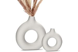 VVHIPPO Donut Vase Weiß für Pampasgras, Keramik Vase Moderne Deko Kunst Vase Runde Form Vase, Handmade Vase Matt, Abstraktion Blumenvase für Wohnzimmer Büro Dekoration, M (Weiß (S+M))