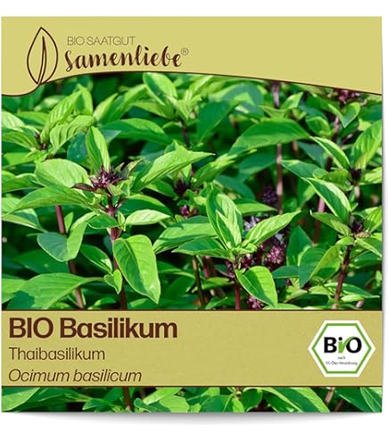 Semi Di Basilico Sacro Thai - Chia Tai, 2400 Semi Per Orto E Giardino - Foto 9