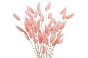 JKDHJK 50 Stäbchen Pampasgras Trockenblumen Verwelken Nie Trockenblumen Deko Boho Deko Super Flauschig Für Deko Schlafzimmer, Badezimmer Deko, Tischdeko, Wand Deko (Rosa)