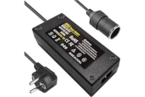BYGD Adaptateur 12v 220v 10A 120W, Adaptateur 220v 12v Allume Cigare Convertisseur Prise Allume-Cigare de Voiture Adaptateur d'alimentation Adaptateur Allume Cigare vers Secteur
